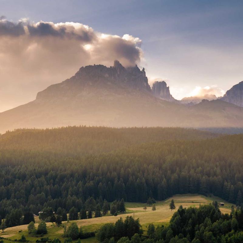 质检体系